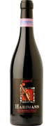 Pasetti Harimann Montepulciano d'Abruzzo 2012 (Non Disponibile)