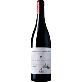 Brunelli Campo del Maestro 2023