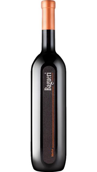 Bottle of Klet Brda Bagueri Merlot 2019 wine 750 ml