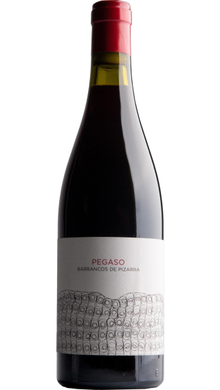 Bottle of Telmo Rodriguez Pegaso Barrancos de Pizarra 2021 wine 750 ml