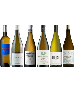 Cassetta Degustazione Premium Vini Bianchi Spagnoli