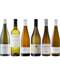 Cassetta Degustazione Premium Albarino
