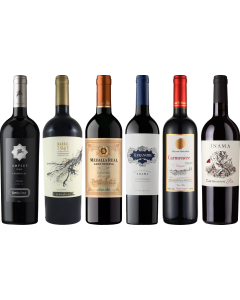 Cassetta Degustazione Carmenere