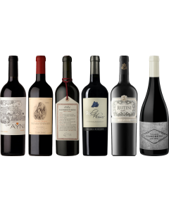 Cassetta Degustazione Premium Malbec Argentino