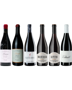 Cassetta Degustazione Premium Mencia