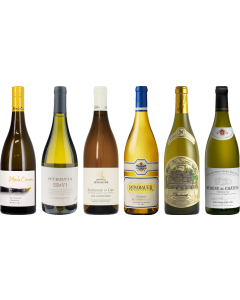 Cassetta Degustazione Premium Chardonnay
