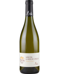 Domaine Merlin Macon La Roche Vineuse Vieilles Vignes 2022