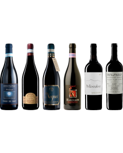 Montepulciano d'Abruzzo Premium Tasting Case