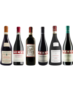 Cassetta Degustazione Premium Piemonte Gattinara