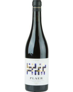 Acustic Celler Plaer 2021