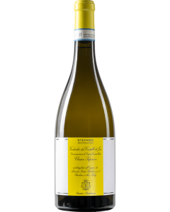 Santa Barbara Stefano Antonucci Verdicchio dei Castelli di Jesi Classico Superiore 2023