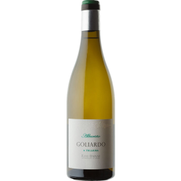 Bodegas Forjas del Salnes Goliardo A Telleira Albarino 2020