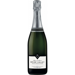 Bride Valley Blanc de Blancs Brut 2017