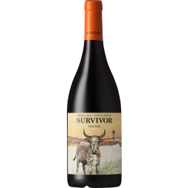 Survivor Pinotage 2021