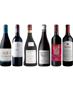 8Wines Lo Staff Sceglie il Vino Rosso Caso Degustazione