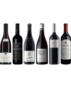 8Wines Lo Staff Sceglie il Vino Rosso Caso Degustazione