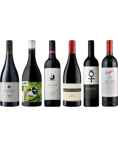 Shiraz Australiano Caso Degustazione Premium