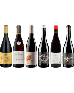 Beaujolais Caso Degustazione Premium