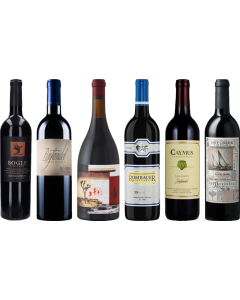 California Zinfandel Caso Degustazione Premium