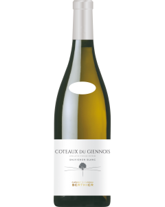 Clement & Florian Berthier Coteaux du Giennois Blanc 2023