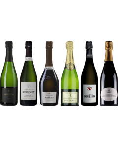 Caso Degustazione Champagne Grower Premium