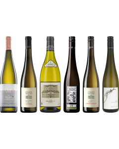 Gruner Veltliner Caso Degustazione Premium