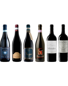 Montepulciano d'Abruzzo Premium Tasting Case