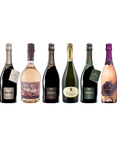 Prosecco Caso Degustazione Premium