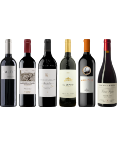 Ribera del Duero Caso Degustazione Premium