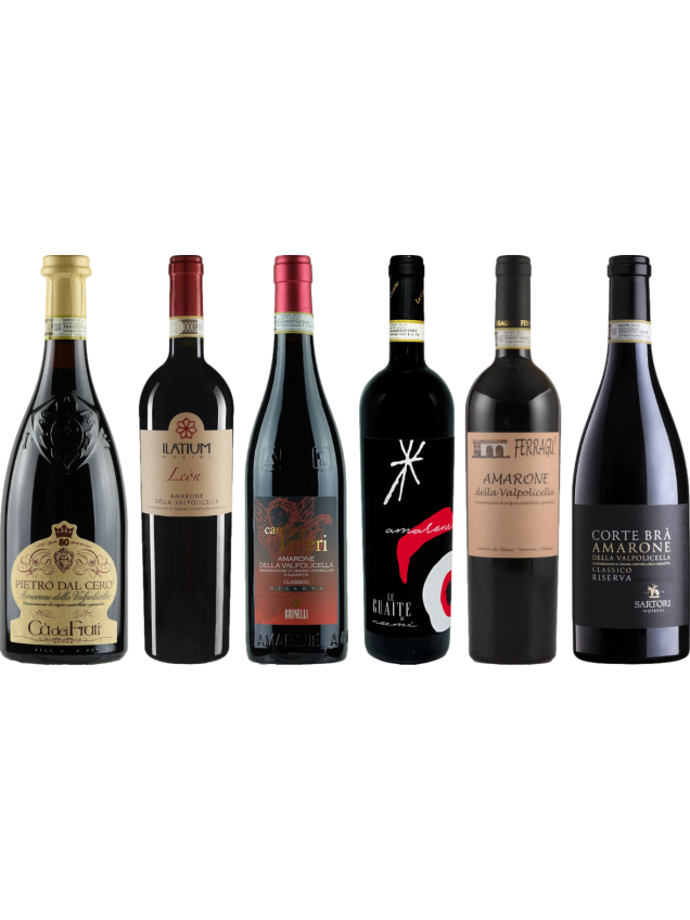 Amarone Caso Degustazione Premium