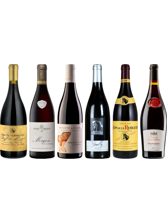 Beaujolais Caso Degustazione Premium