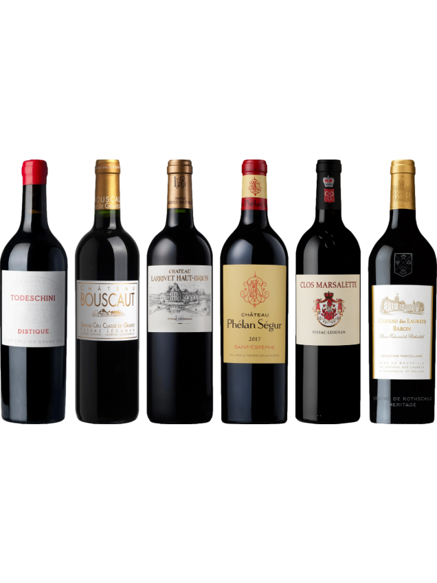 Bordeaux Rosso Caso di Degustazione