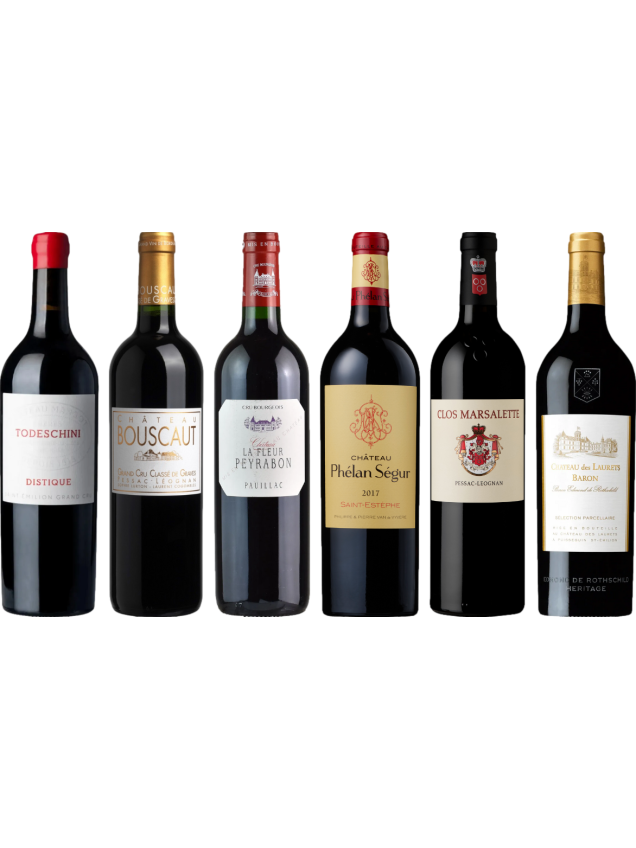 Bordeaux Rosso Caso di Degustazione