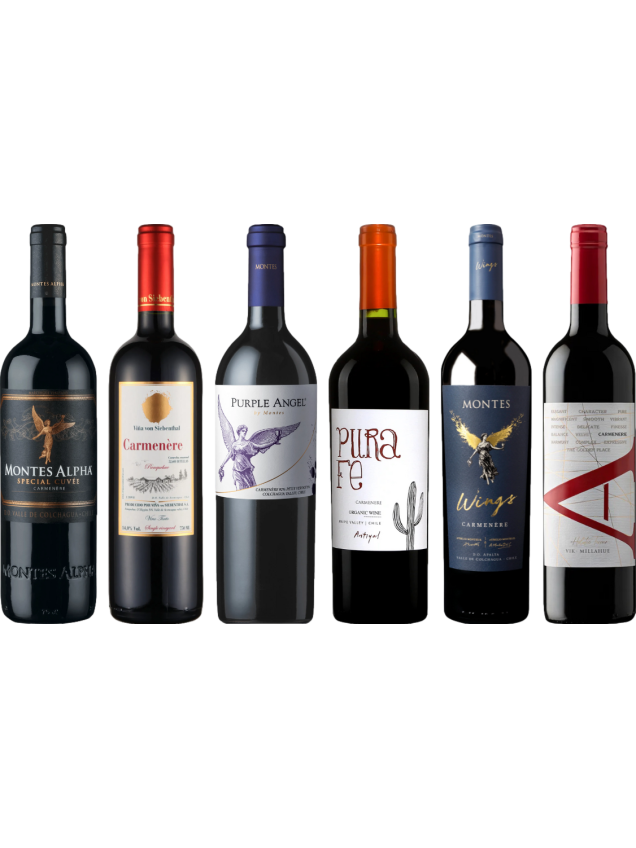 Pachetto di degustazione di Carmenere