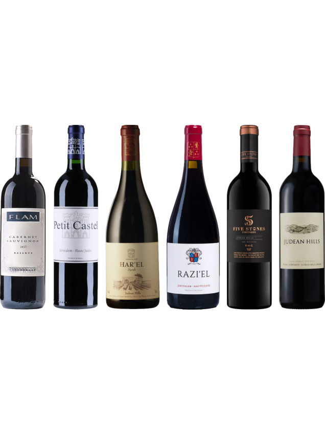 Israele Vino Rosso Caso Degustazione Premium