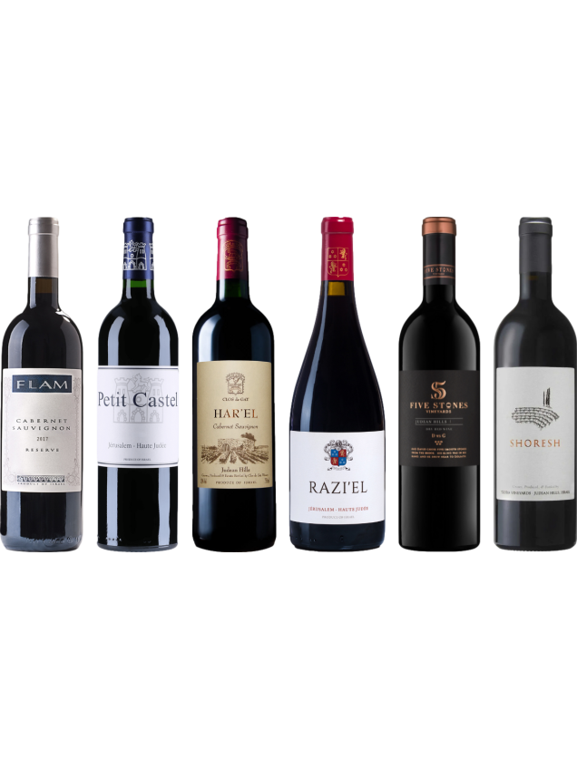 Israele Vino Rosso Caso Degustazione Premium