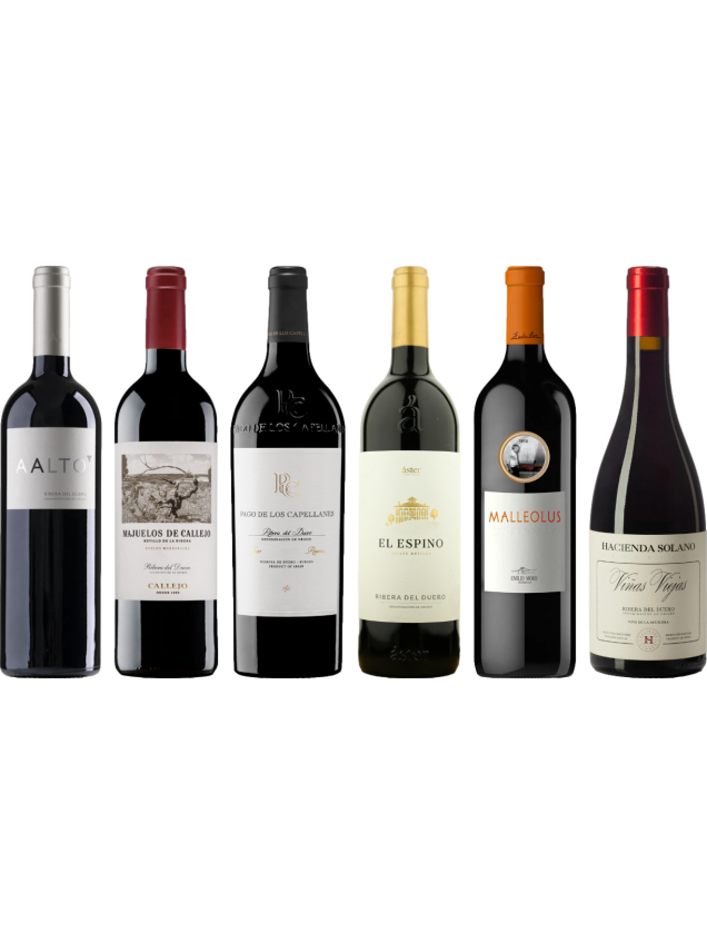 Ribera del Duero Caso Degustazione Premium