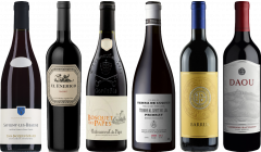 8Wines Lo Staff Sceglie il Vino Rosso Caso Degustazione