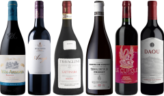 8Wines Lo Staff Sceglie il Vino Rosso Caso Degustazione