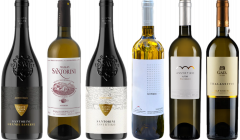 Assyrtiko Santorini Caso Degustazione Premium