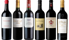 Bordeaux Rosso Caso di Degustazione