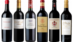 Bordeaux Rosso Caso di Degustazione