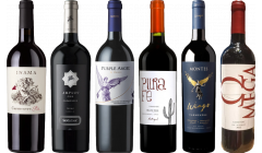 Pachetto di degustazione di Carmenere