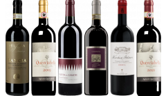 Chianti Caso di Degustazione Premium