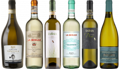 Gavi Caso Degustazione