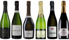 Caso Degustazione Champagne Grower Premium