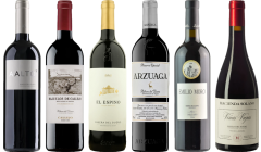 Ribera del Duero Caso Degustazione Premium