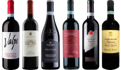 Valpolicella Ripasso Caso Degustazione Premium