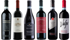 Valpolicella Ripasso Caso Degustazione Premium