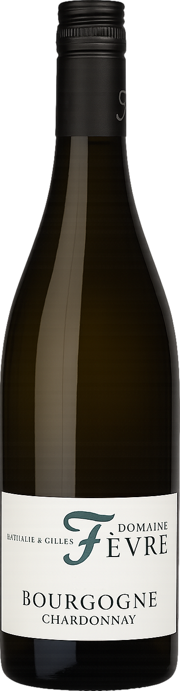 Domaine Nathalie & Gilles Fevre Bourgogne Chardonnay 2023